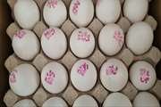 کشف و ضبط تخم مرغ با درج تاریخ تولید غیرواقعی  
