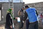پایان طرح واکسیناسیون طیور روستایی بر علیه بیماری نیوکاسل در استان کردستان 
