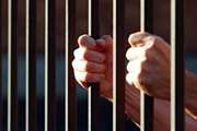 شش ماه حبس، محکومیت فروش و عرضه مرغ زنده  غیر مجاز و غیر بهداشتی در دیواندره 