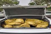 شناسایی و ضبط 240 کیلوگرم گوشت منجمد بدون مجوز از داخل یک خودرو سواری در دهگلان