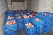 توقیف محموله گوشت مرغ گرم فاقد مجوز حمل بهداشتی قرنطینه‌ای و غیرمجاز در شهرستان بیجار