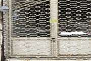 سه مرکز کشتار غیرمجاز و غیر بهداشتی مرغ زنده در بانه پلمپ شد
