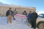 اردوهای جهادی دامپزشکی به مناسبت دهه فجر در شهرستان دیواندره