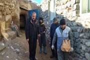 بازدید مدیرکل دامپزشکی استان کردستان از عملکرد اردوی جهادی در روستای امیرآباد دهگلان