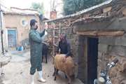 برگزاری اردوی جهادی در روستای چنارتو شهرستان سقز به مناسبت هفته وحدت 