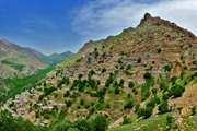 کاهش چشمگیر بروز بیماری تب مالت انسانی در شهرستان سروآباد
