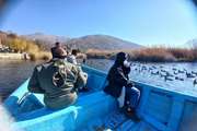 اقدامات پیشگیرانه برای آنفلوآنزای فوق حاد پرندگان در مریوان