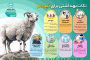 نکات بهداشتی برای ذبح دام 