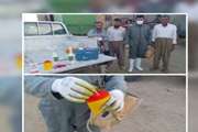 گام مؤثر دامپزشکی کردستان در ارتقای بهداشت عمومی با توزیع ۲۵۰۰ سیفتی باکس (safety box)
