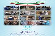 موفقیت دامپزشکی کردستان نتیجه تلاش شبانه‌روزی همکاران است