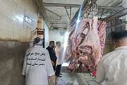 بازدید مسئول دفتر نمایندگی ولی فقیه و کارشناسان اداره نظارت بر بهداشت عمومی و مواد غذائی دامپزشکی استان کردستان از کشتارگاه دام بانه